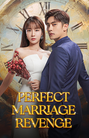 290x450-perfect-marriage-revenge.jpg